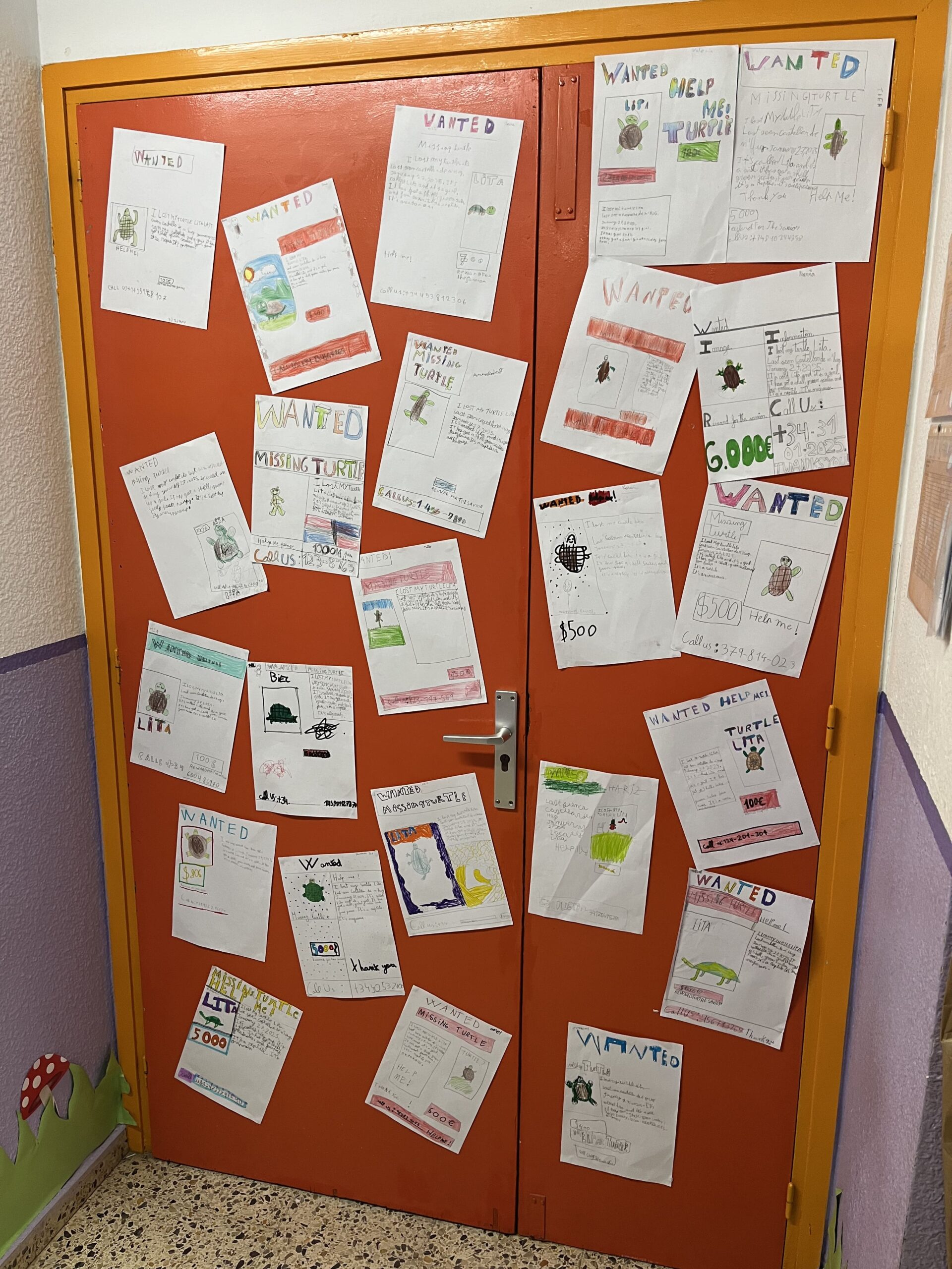 2025-02-20_08-53-20_853