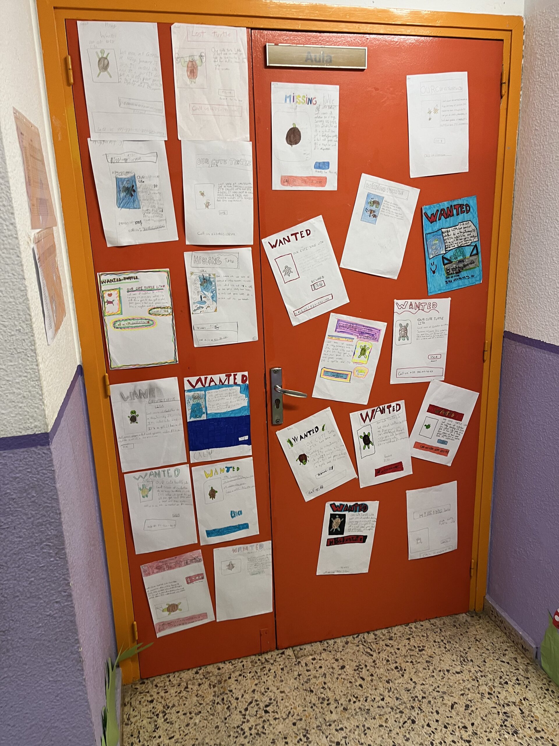 2025-02-20_08-53-33_194