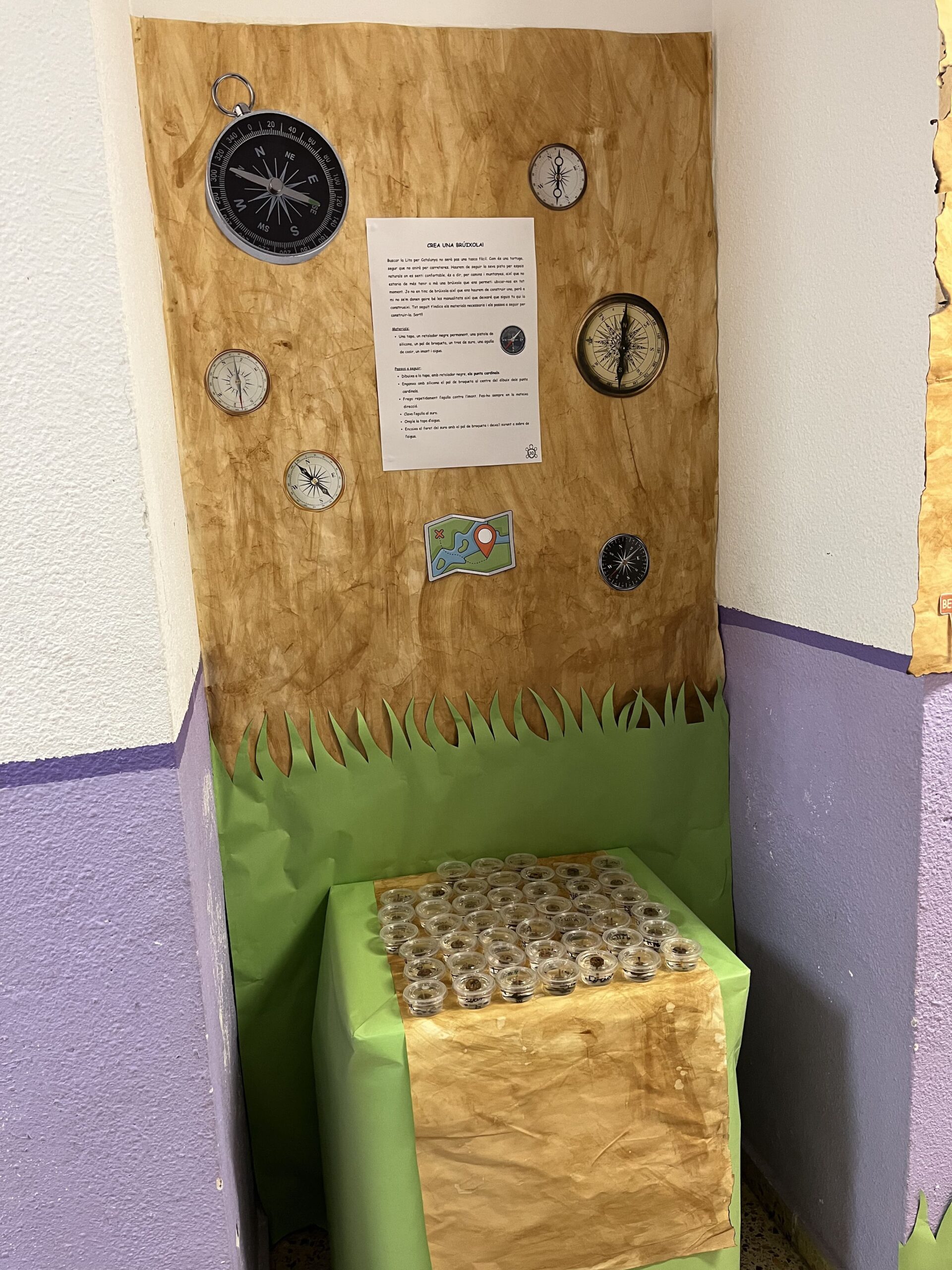 2025-02-20_08-53-47_690