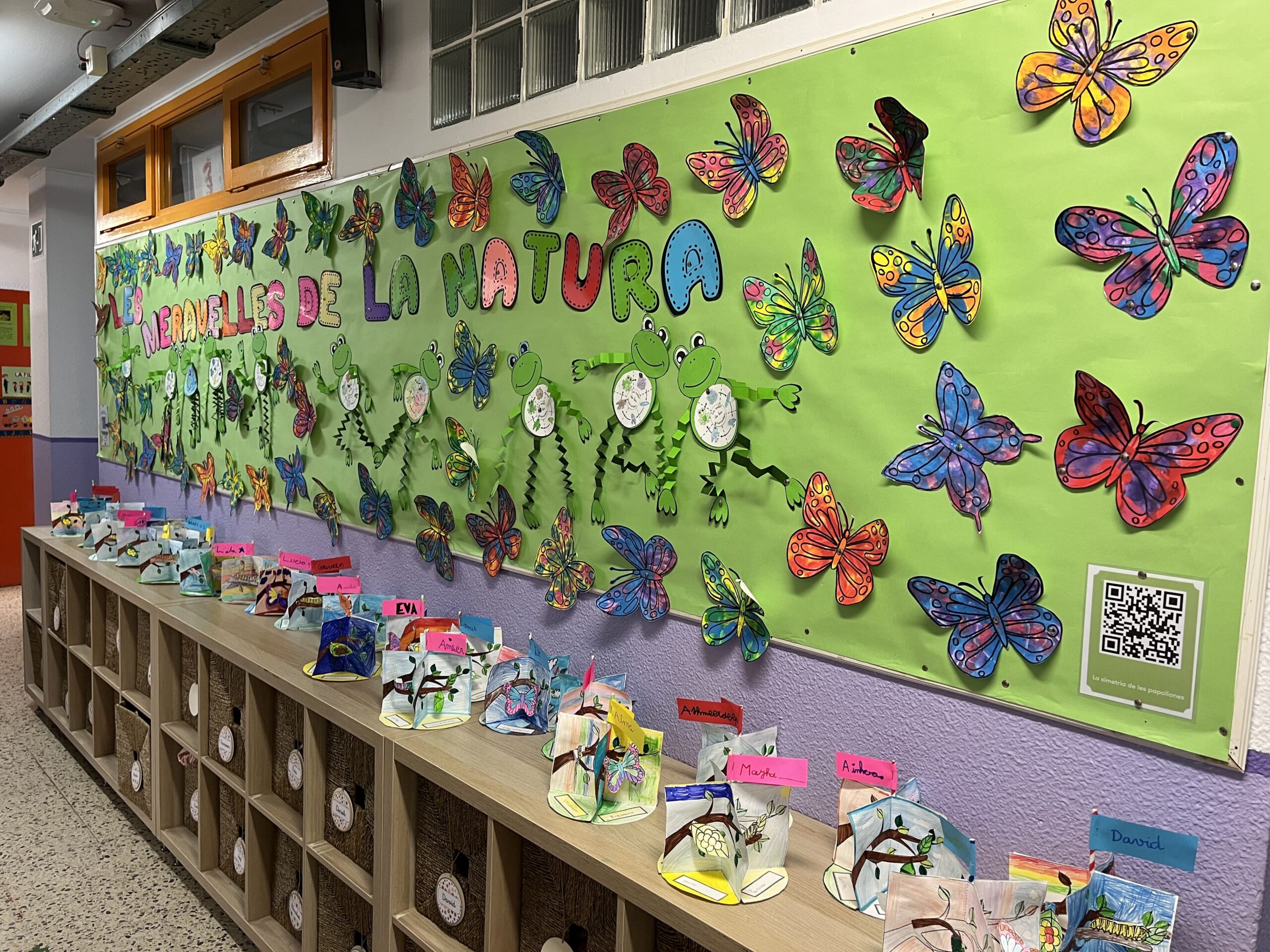 2025-02-20_08-55-26_644