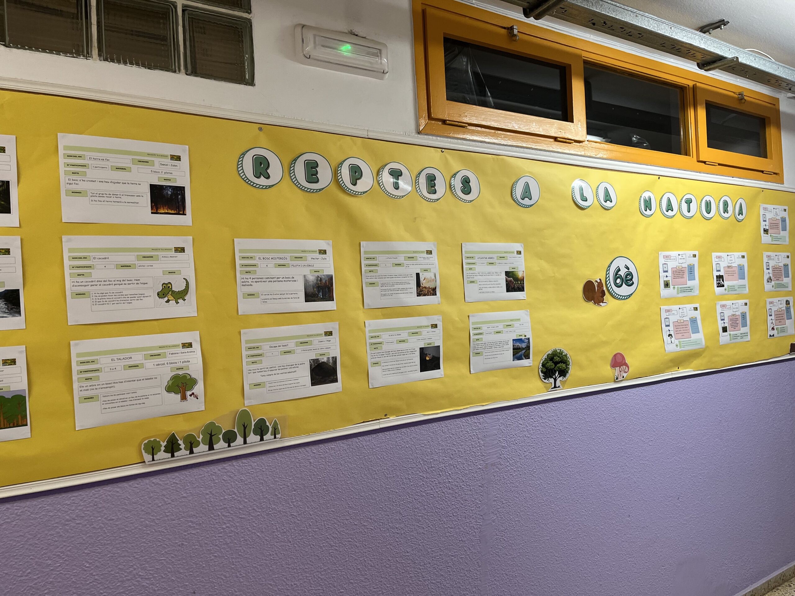 2025-02-20_08-56-47_531