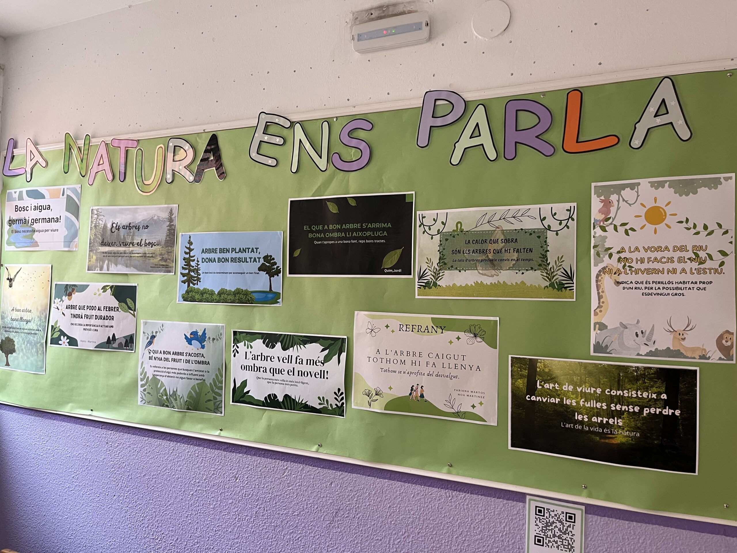 2025-02-20_08-57-24_340