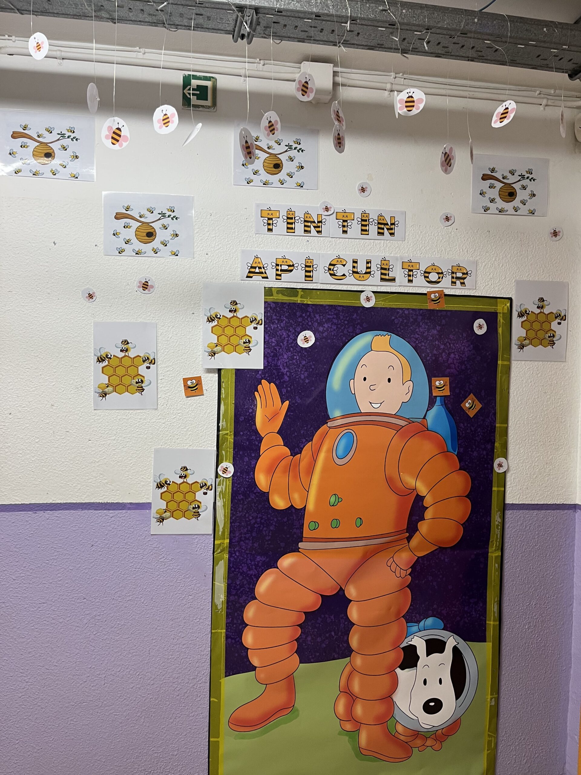 2025-02-20_08-58-26_738