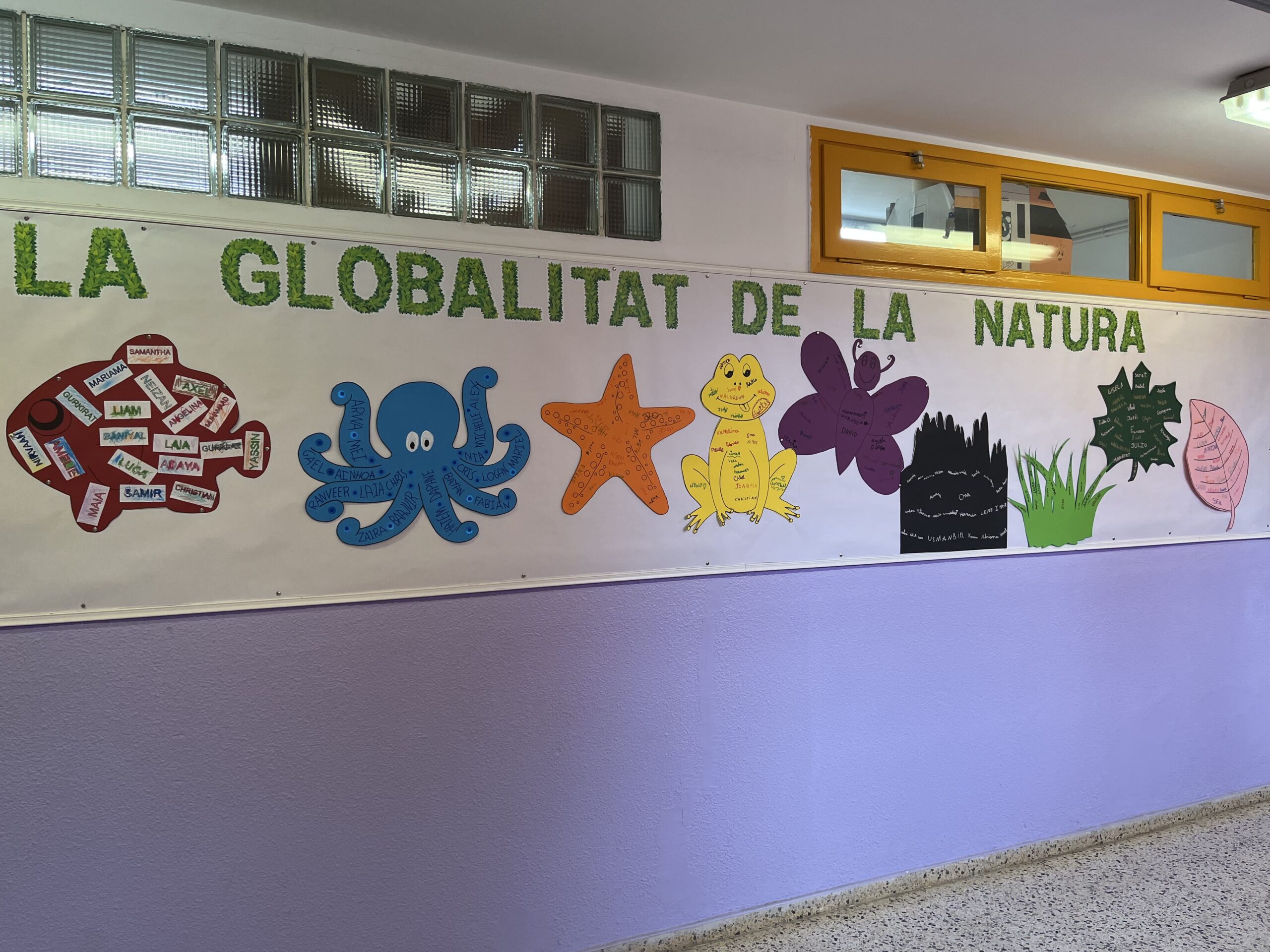 2025-02-20_10-24-31_523