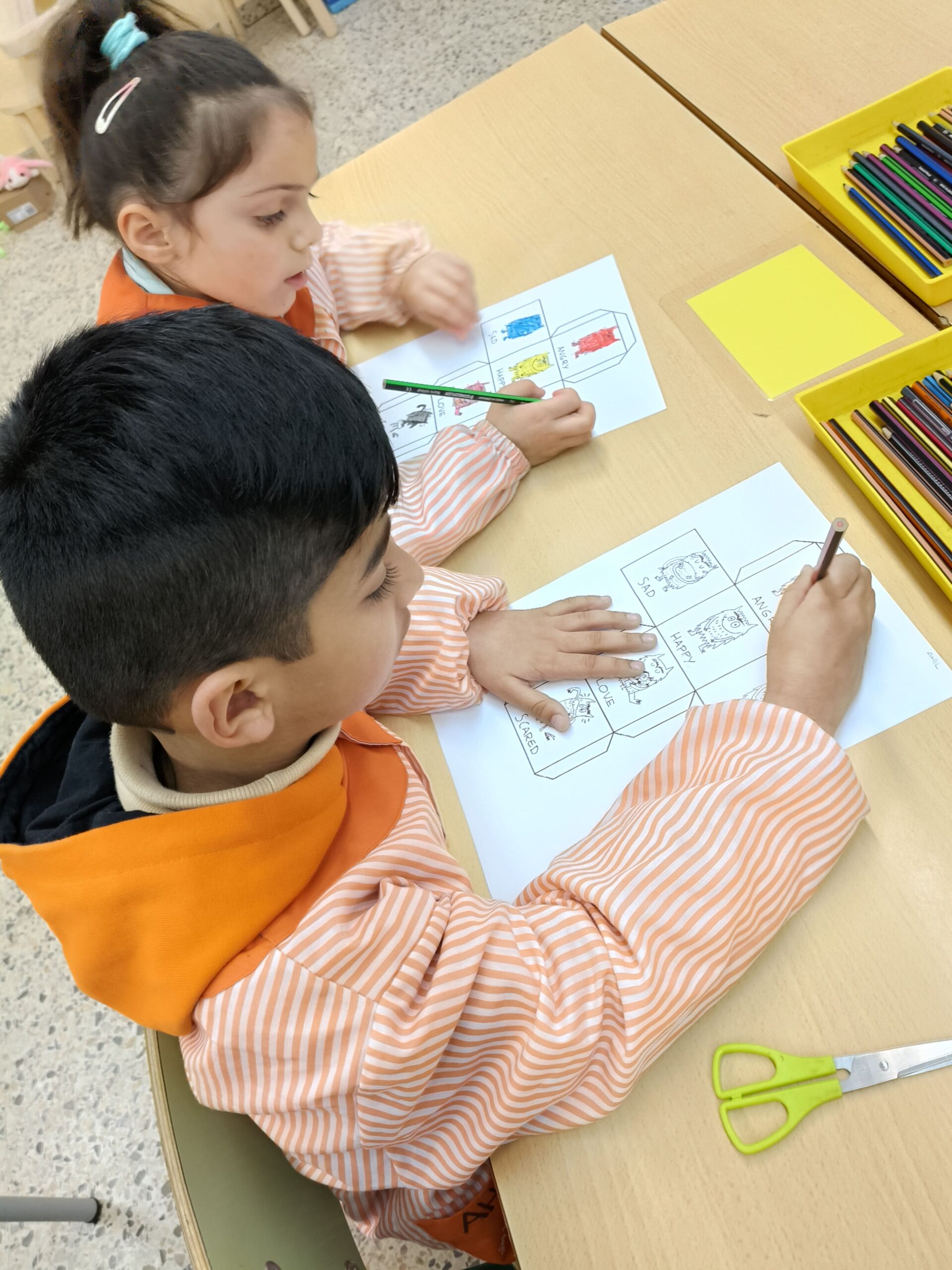 IMG20250113102228 (1)