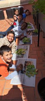 20250508_152634 (Copy)