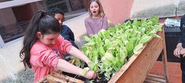 20250509_091341 (Copy)