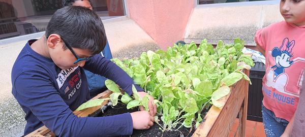 20250509_091738 (Copy)