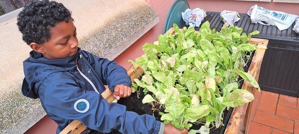 20250509_092429 (Copy)