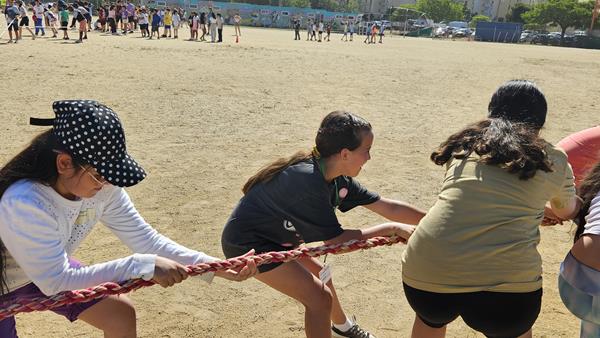 20250528_102950 (Copy)