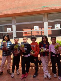 IMG-20250508-WA0008 (Copy)