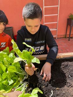 IMG-20250508-WA0009 (Copy)