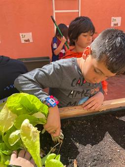 IMG-20250508-WA0010 (Copy)