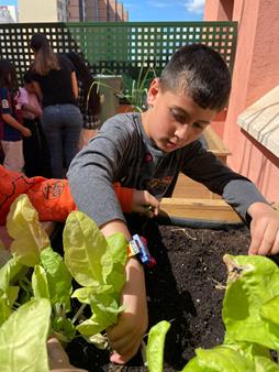 IMG-20250508-WA0012 (Copy)