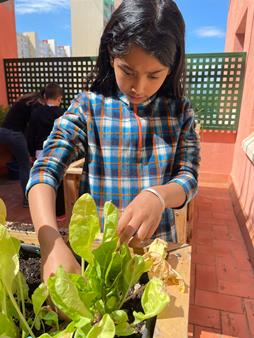 IMG-20250508-WA0014 (Copy)