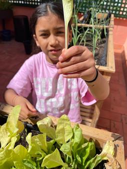 IMG-20250508-WA0016 (Copy)