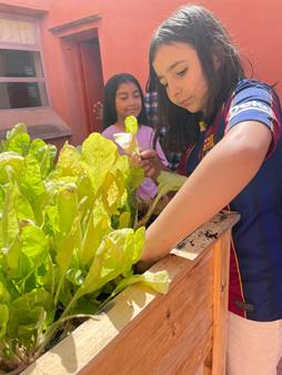 IMG-20250508-WA0017 (Copy)