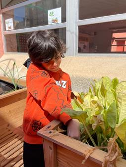 IMG-20250508-WA0018 (Copy)