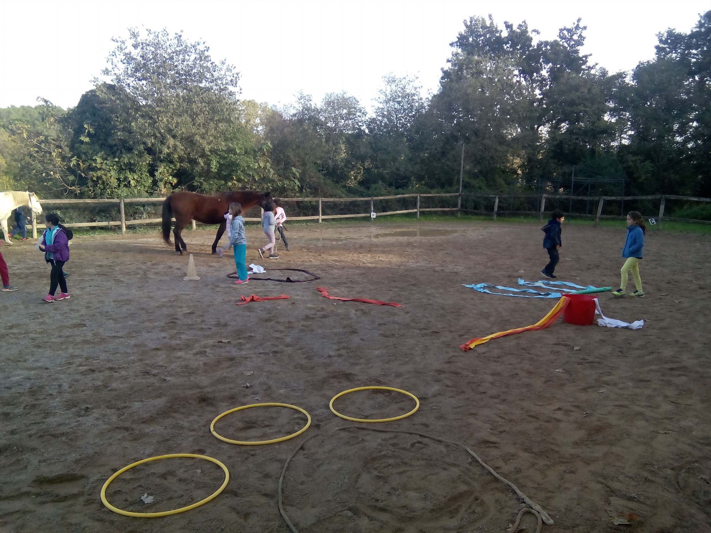 Cavalls_CM_Sessió4 (10)