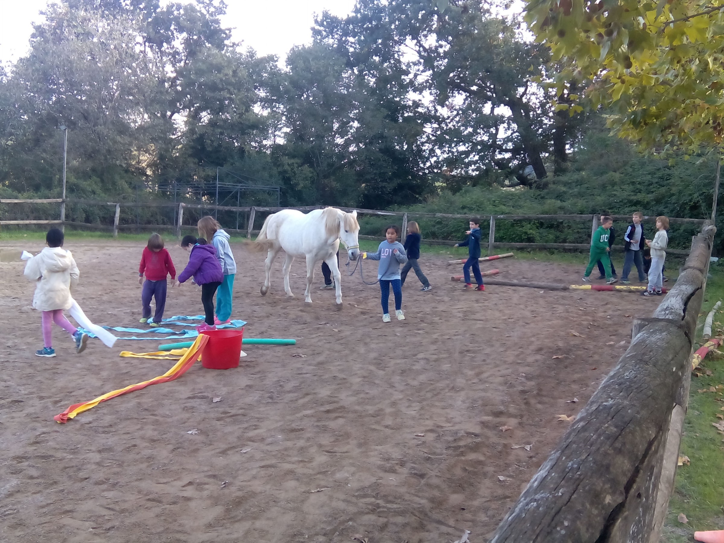 Cavalls_CM_Sessió4 (11)