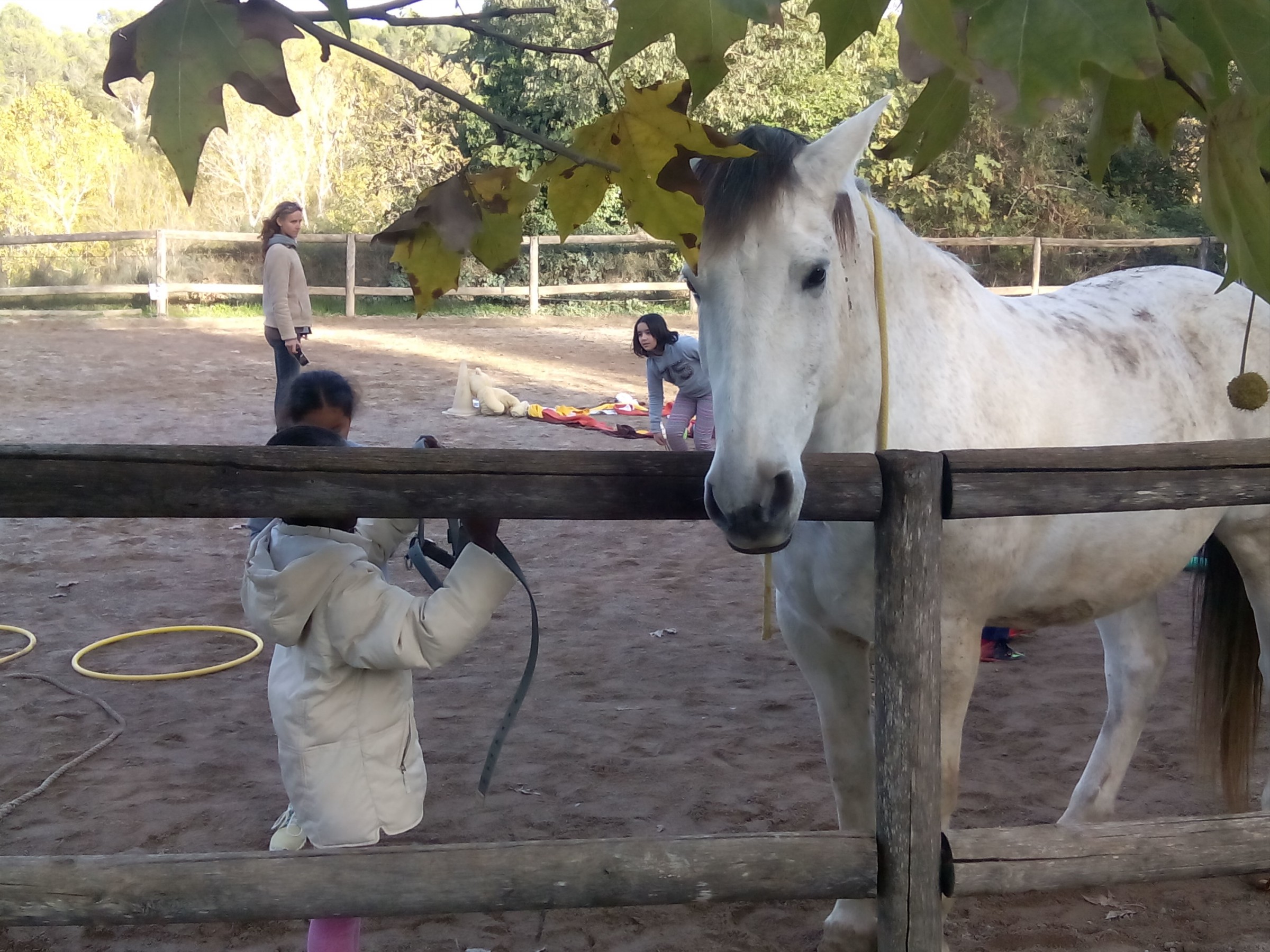 Cavalls_CM_Sessió4 (13)