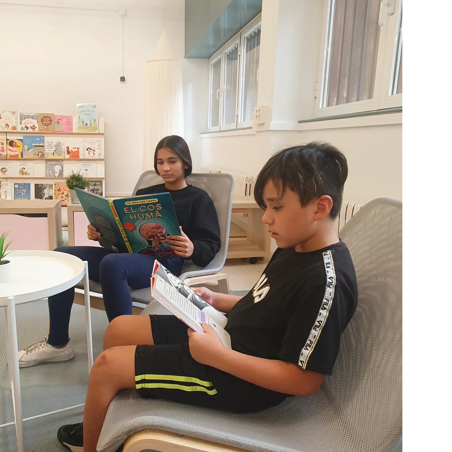 Carrussel "Biblioteca escolar" 1