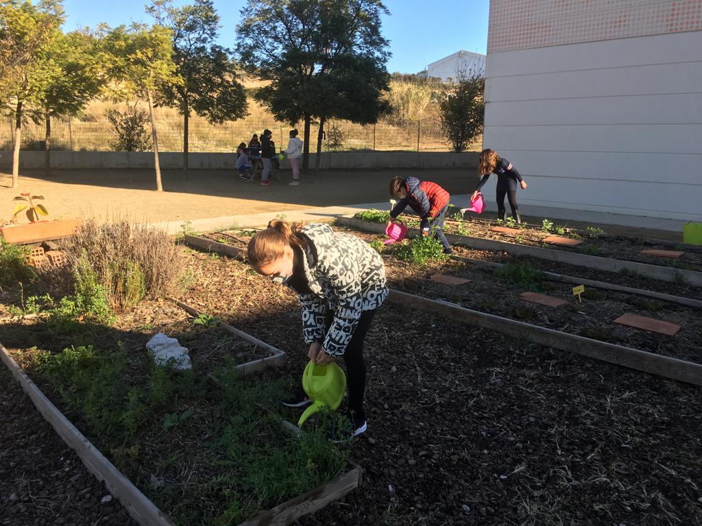 1d7adcad-f23e-4303-809c-453acff389c4-min