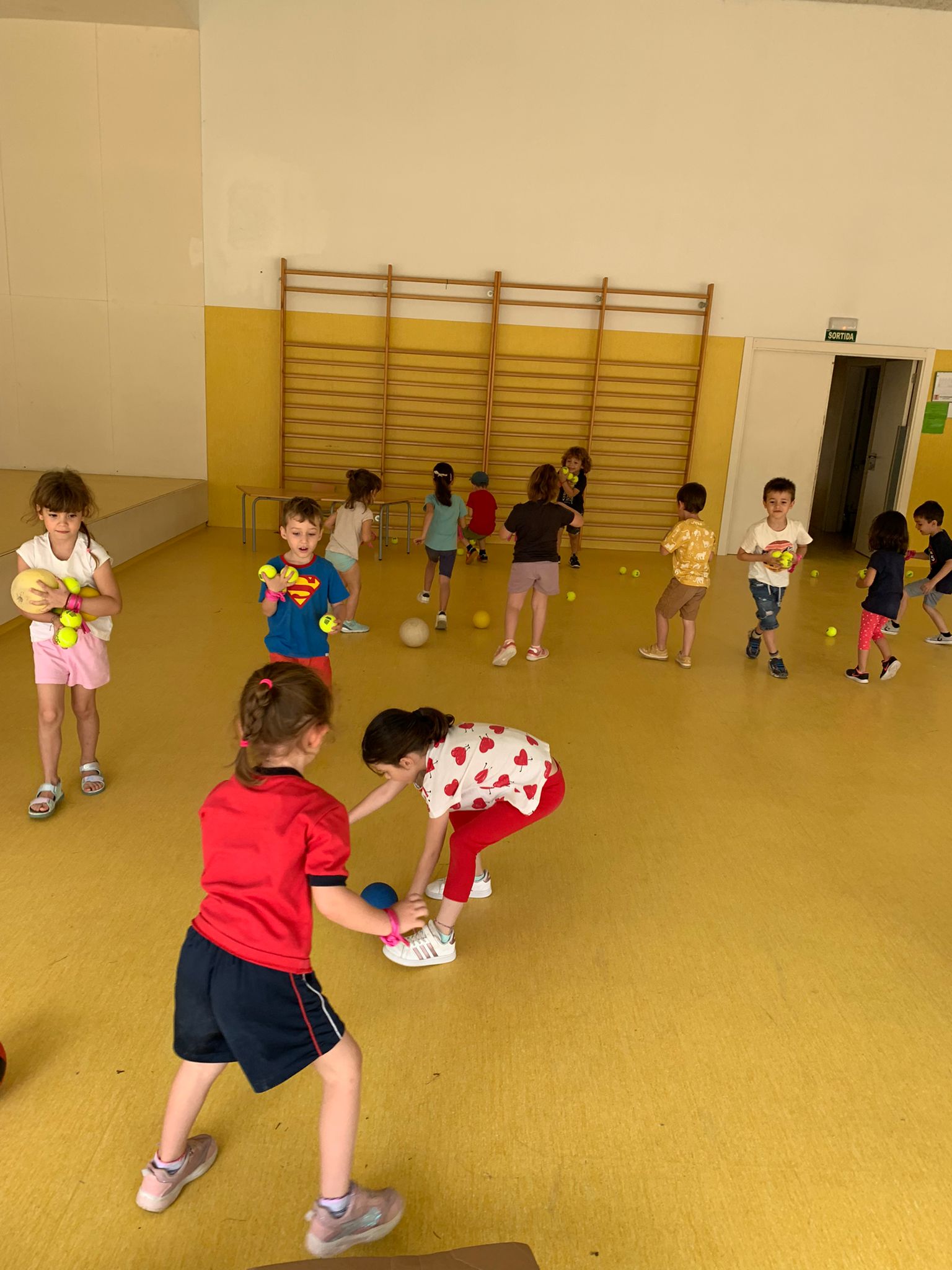 BUSQUEM PILOTES 1-min