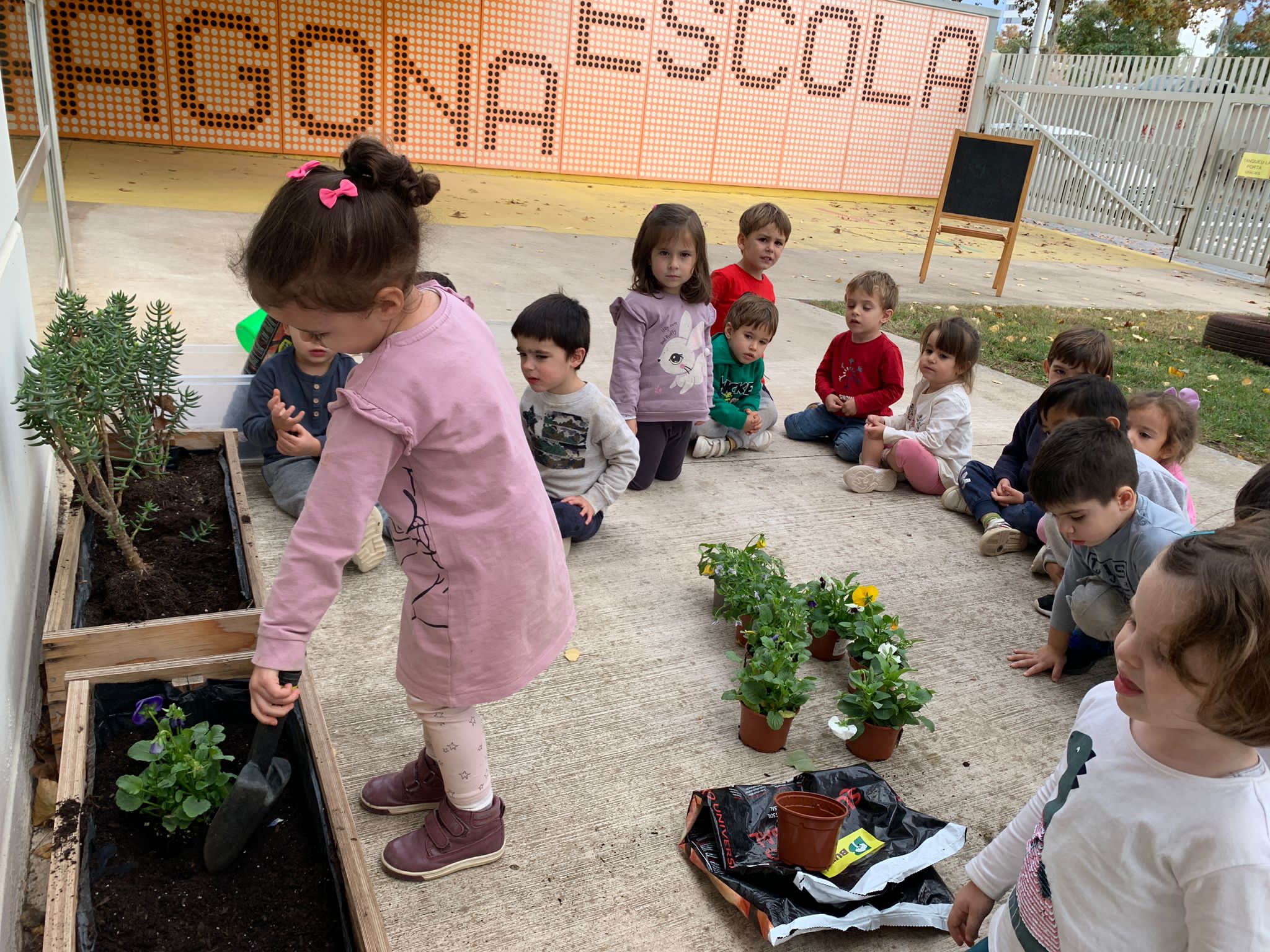 PHOTO-2022-11-18-18-52-50