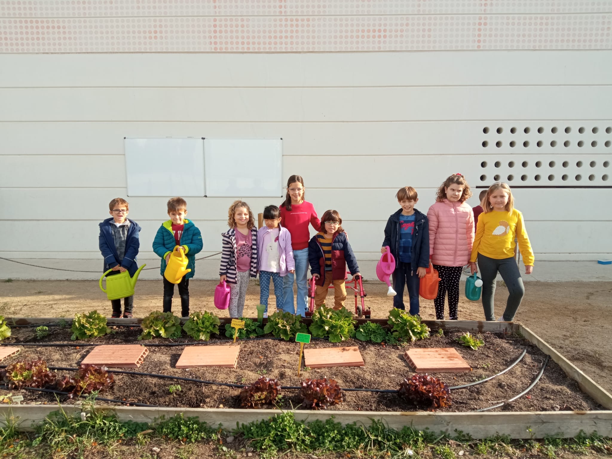 WhatsApp Image 2022-11-24 at 10.36.27