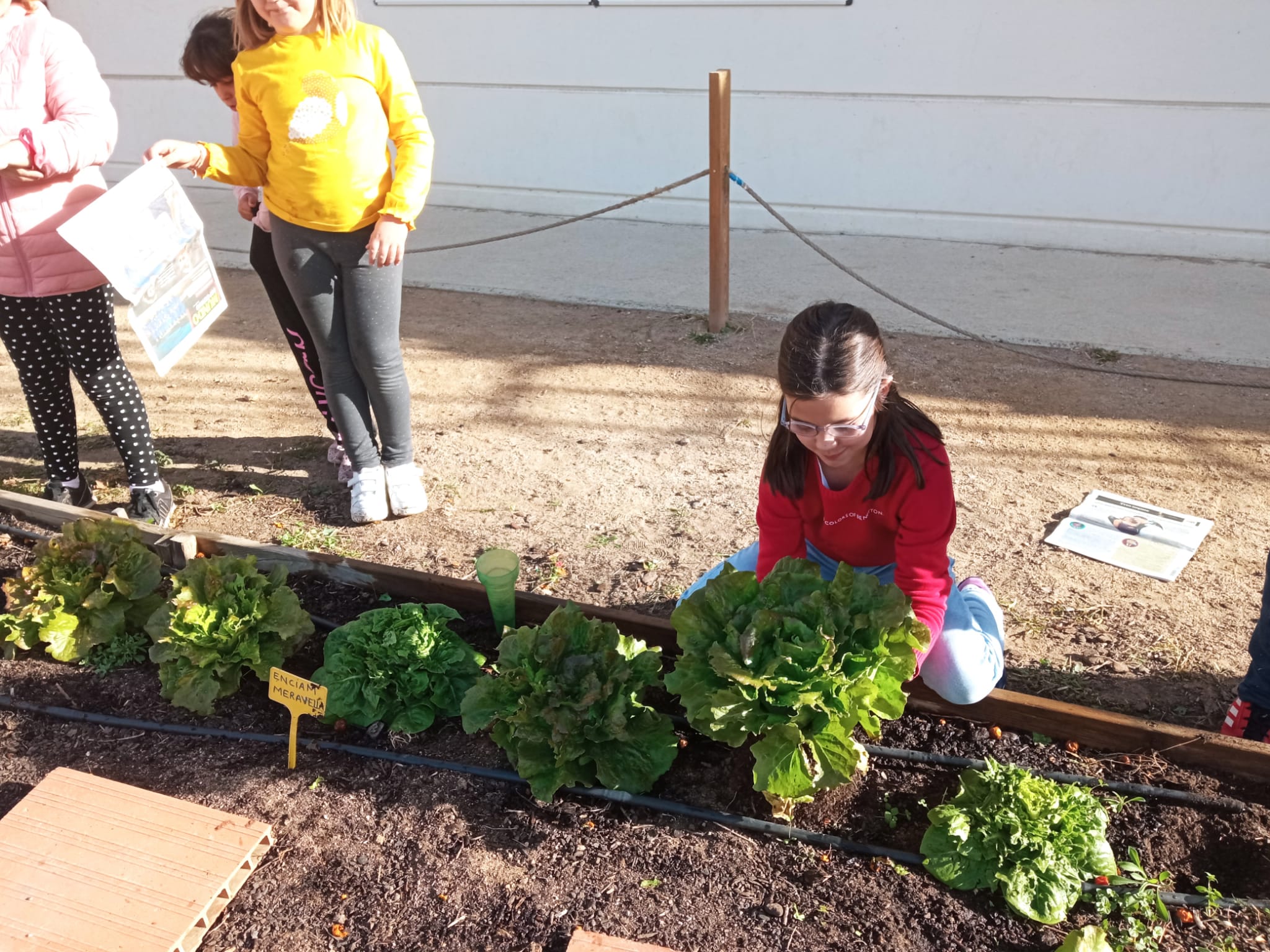 WhatsApp Image 2022-11-24 at 10.36.38-2