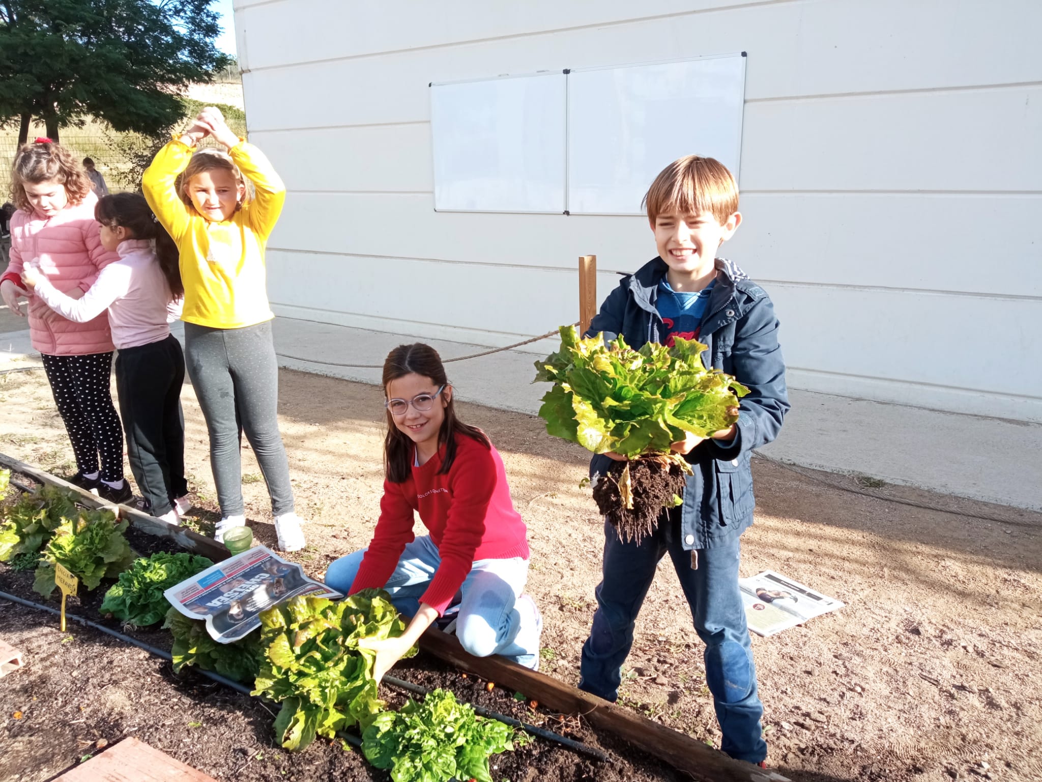 WhatsApp Image 2022-11-24 at 10.36.38