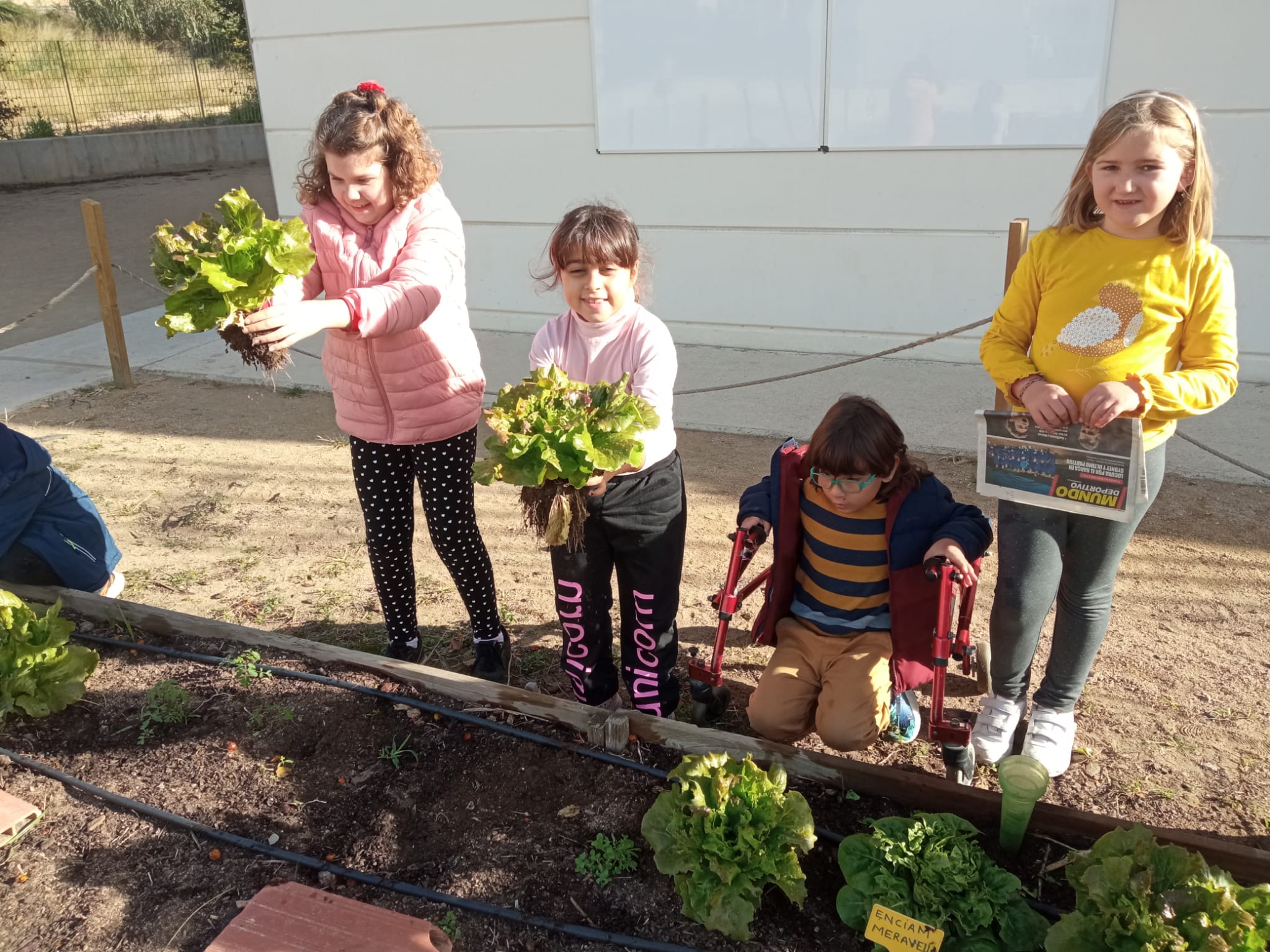 WhatsApp Image 2022-11-24 at 10.36.40