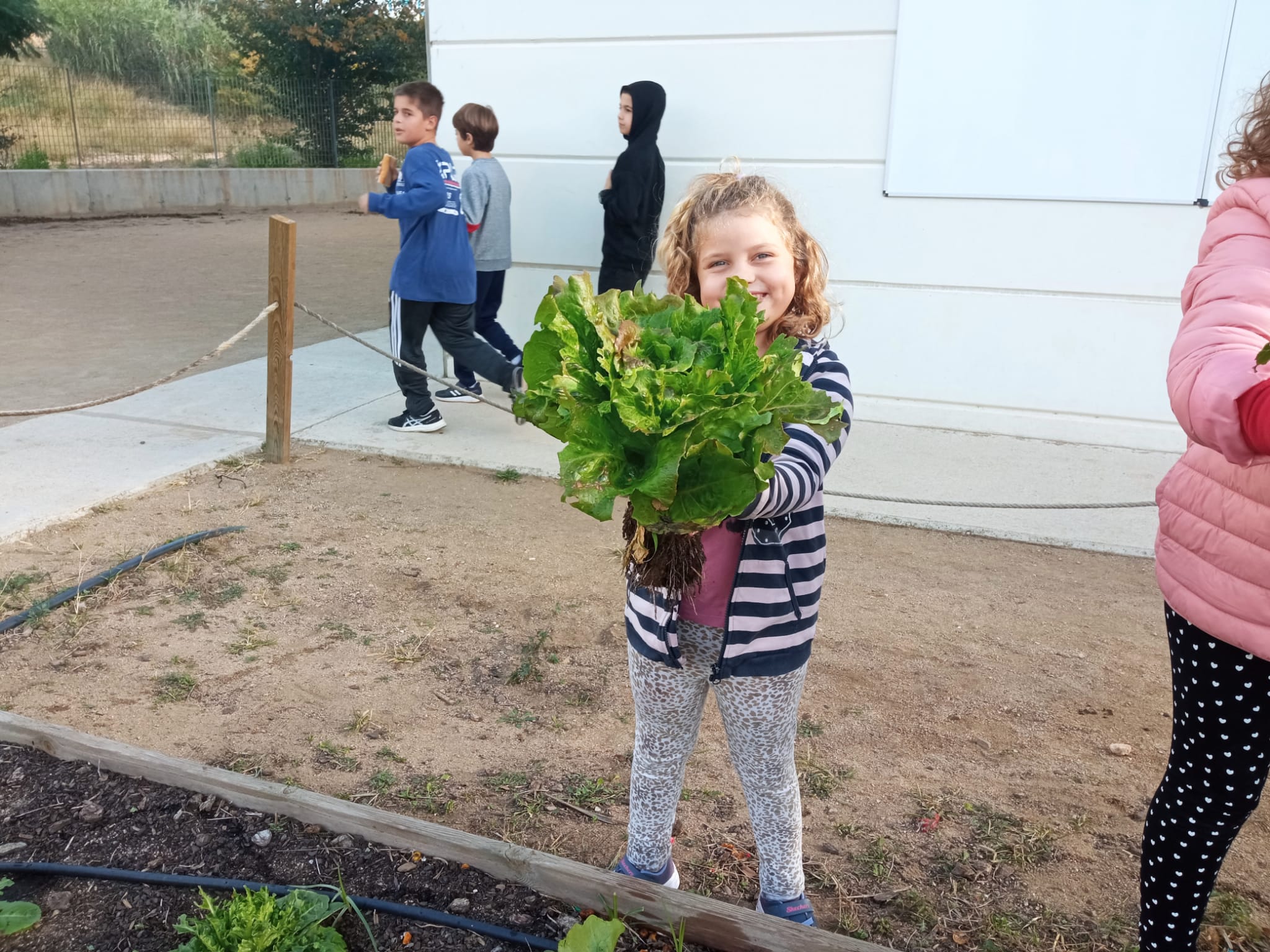 WhatsApp Image 2022-11-24 at 10.36.41