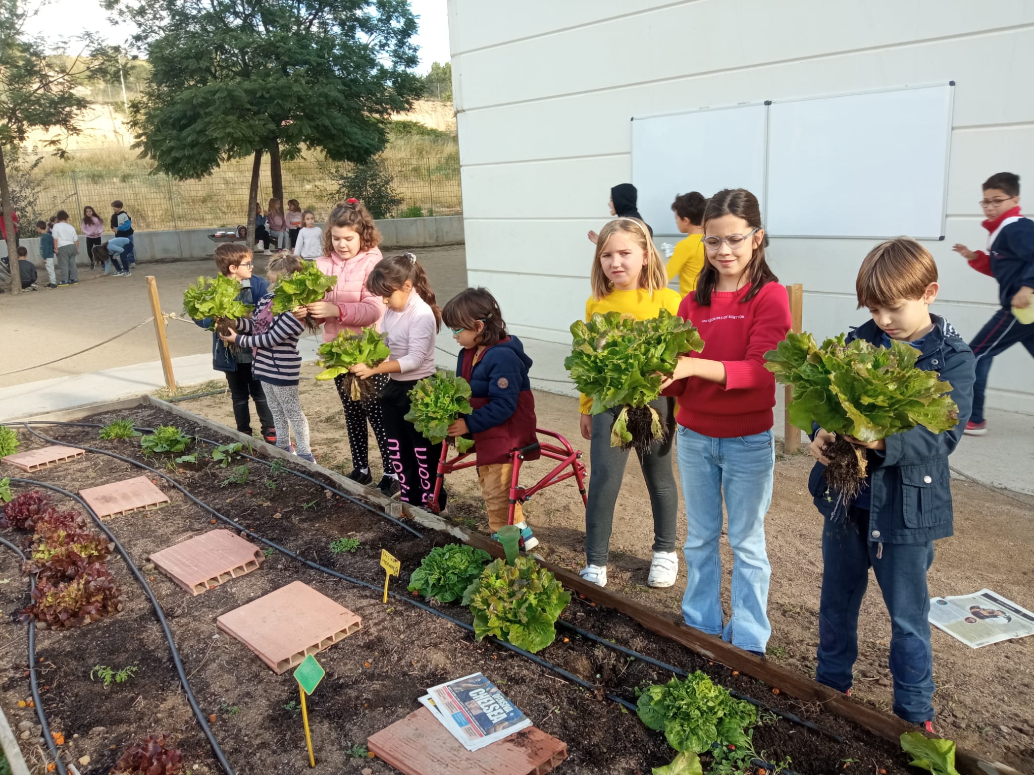 WhatsApp Image 2022-11-24 at 10.36.42