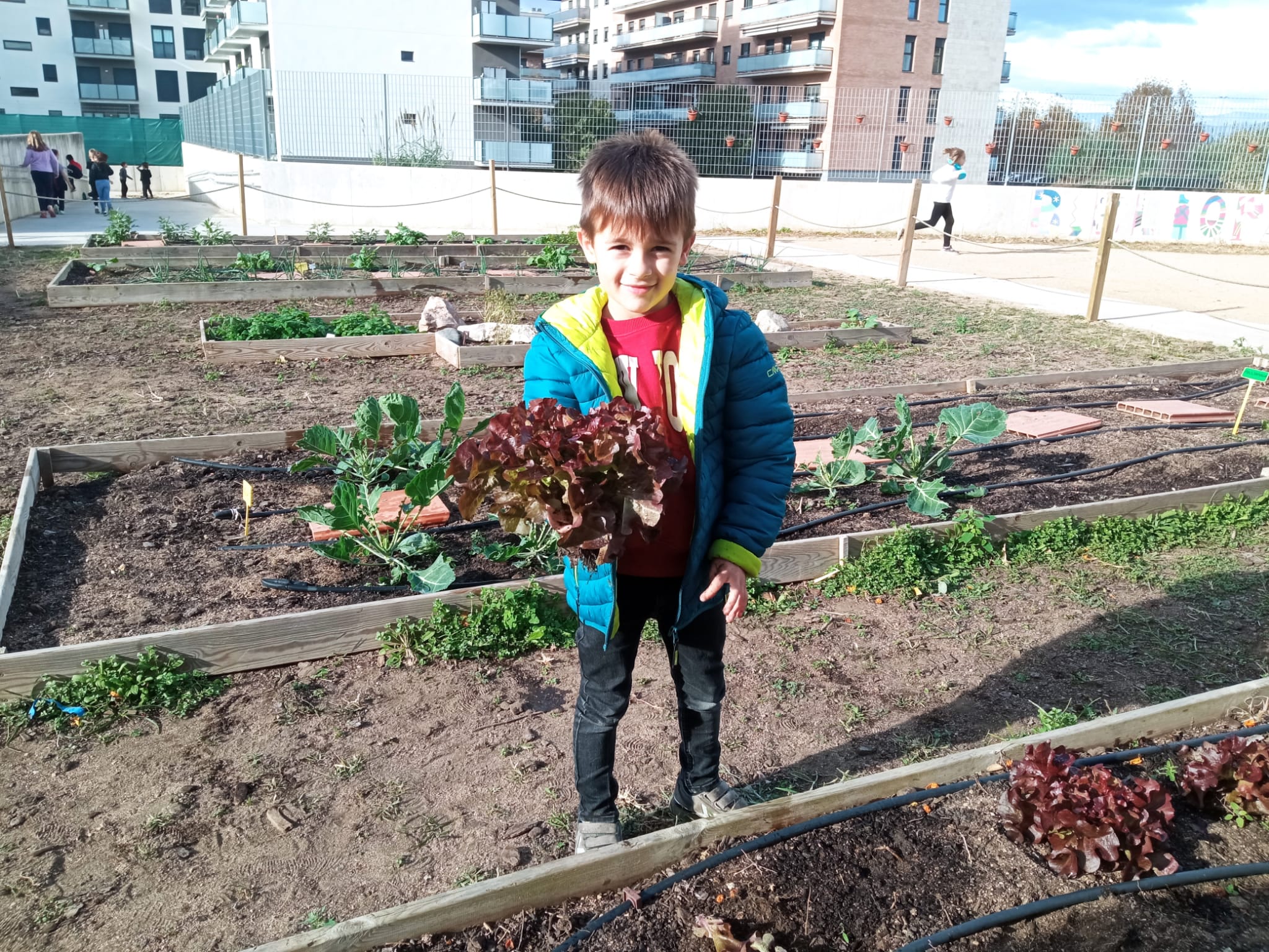 WhatsApp Image 2022-11-24 at 10.36.43