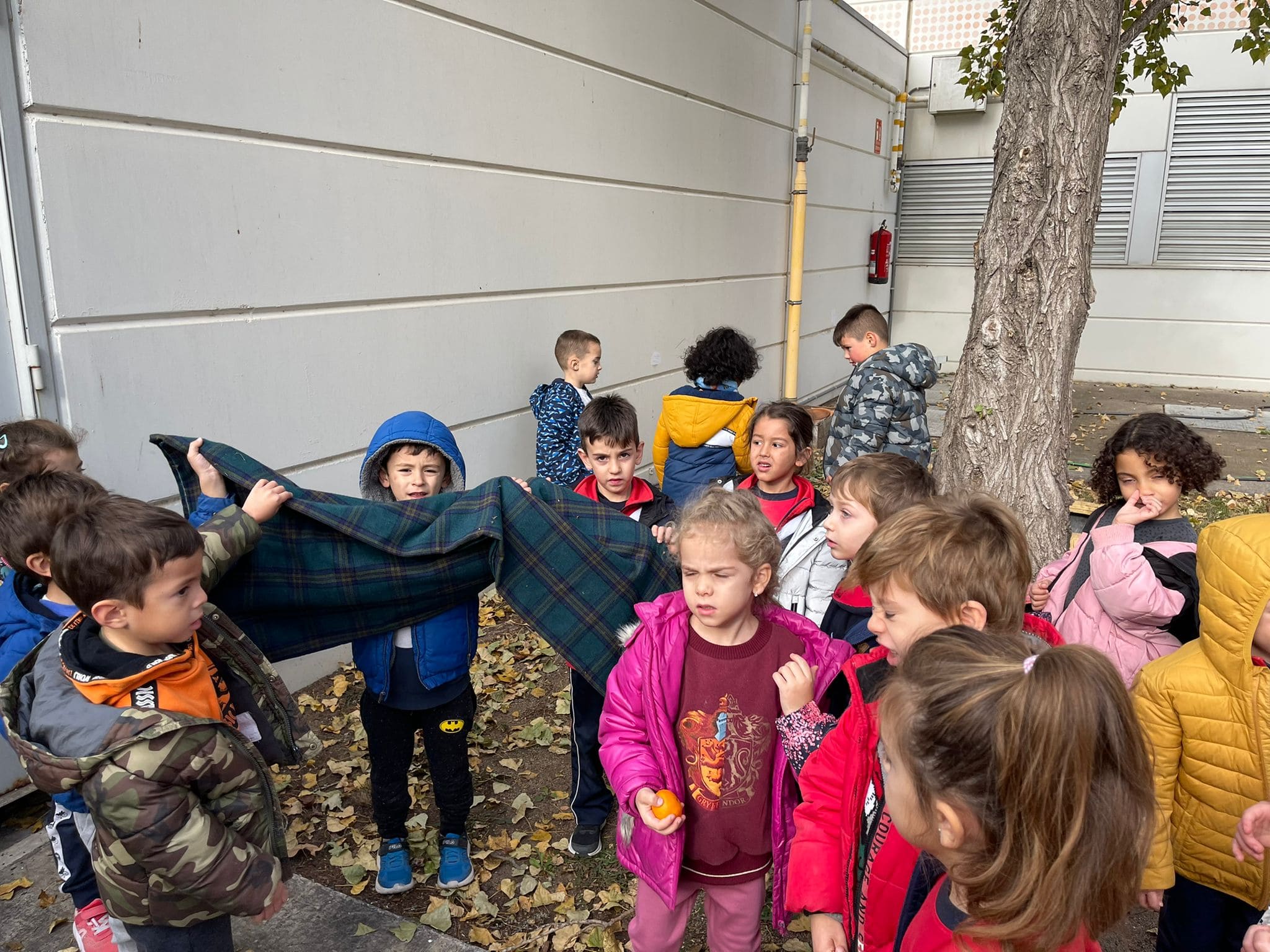 38fa75eb-bd9f-47ae-9d24-eda5c67ec165