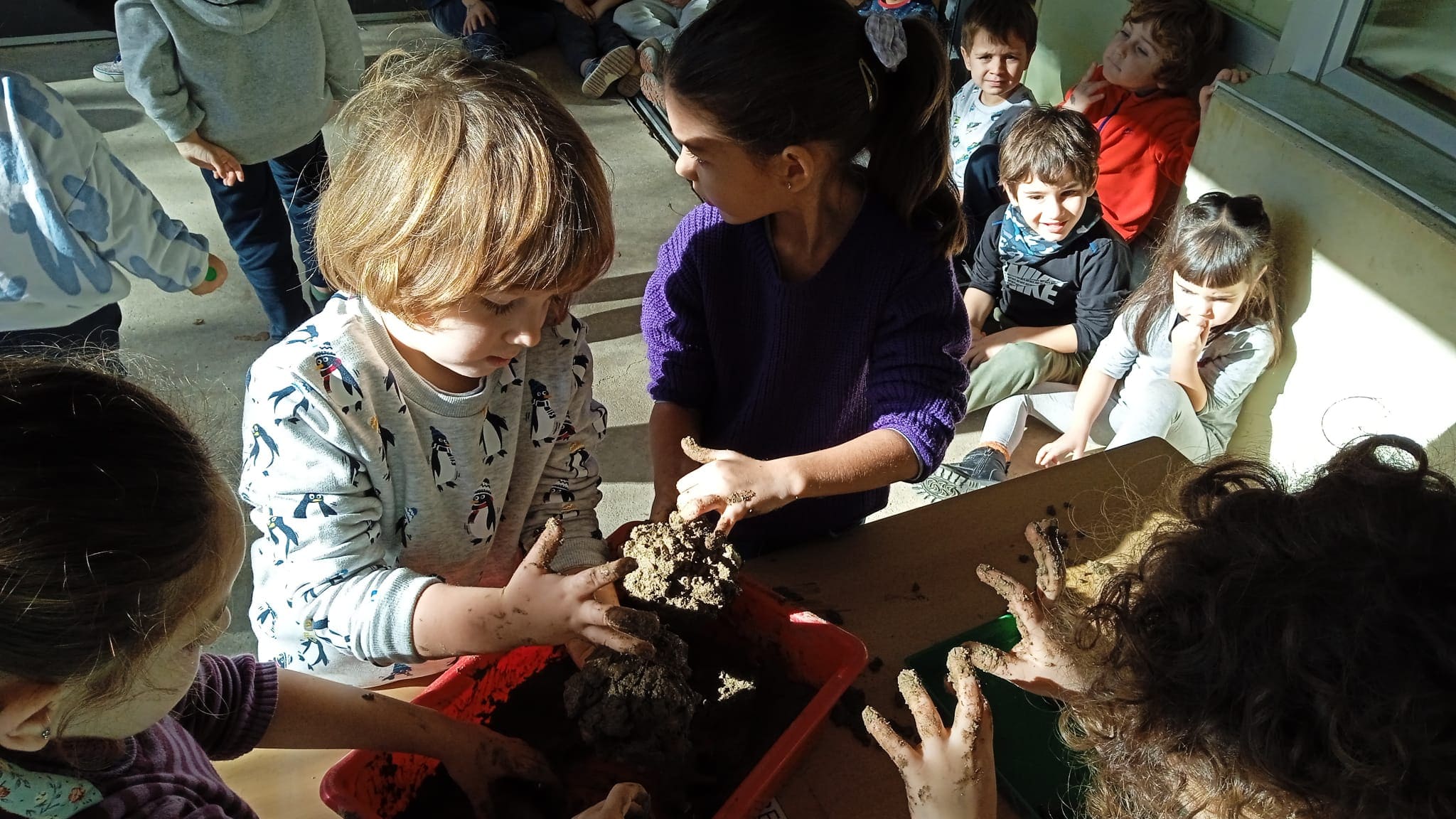 IMG-20221216-WA0008 (1)