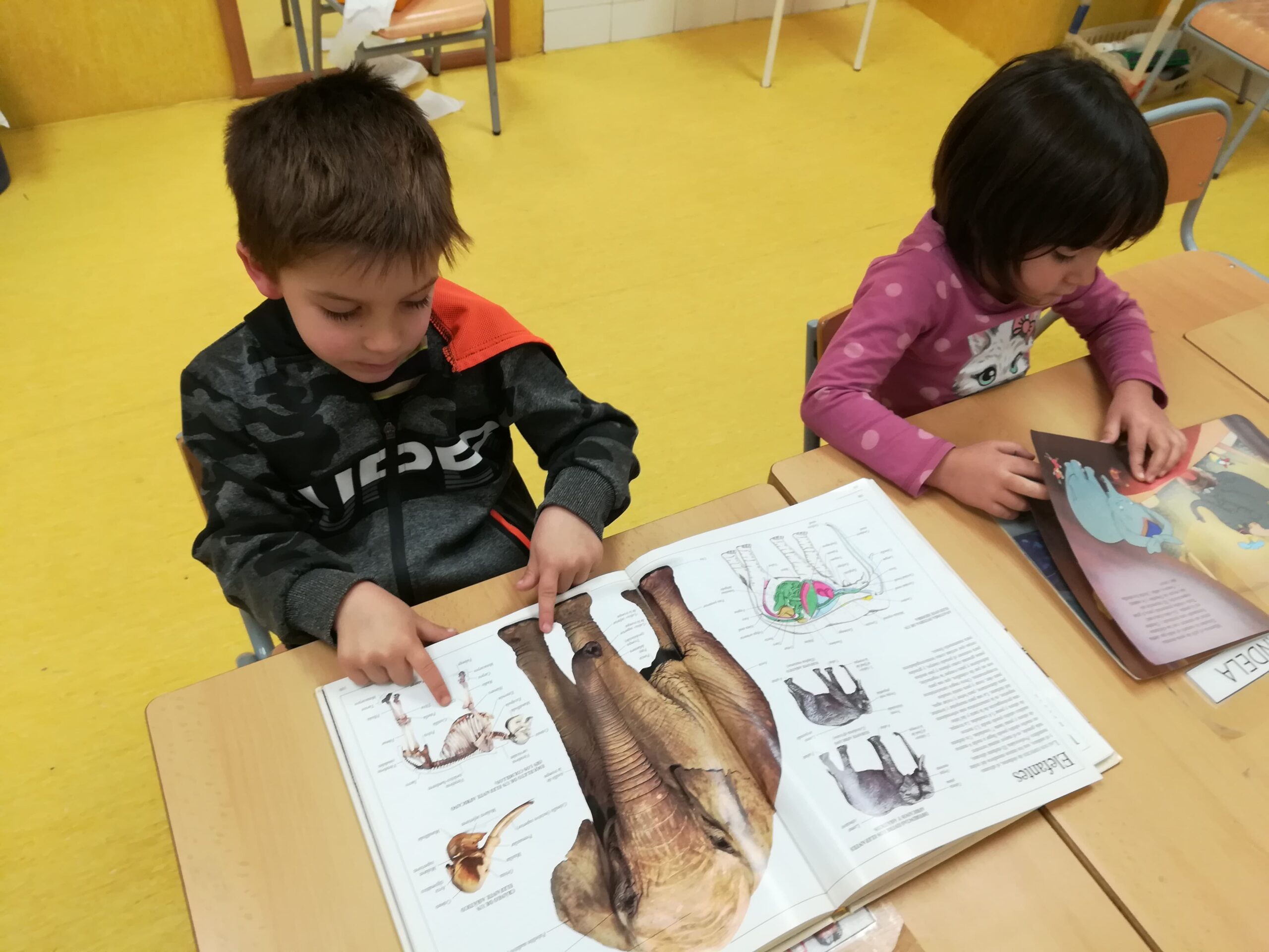 IMG_20221205_160342 (1)