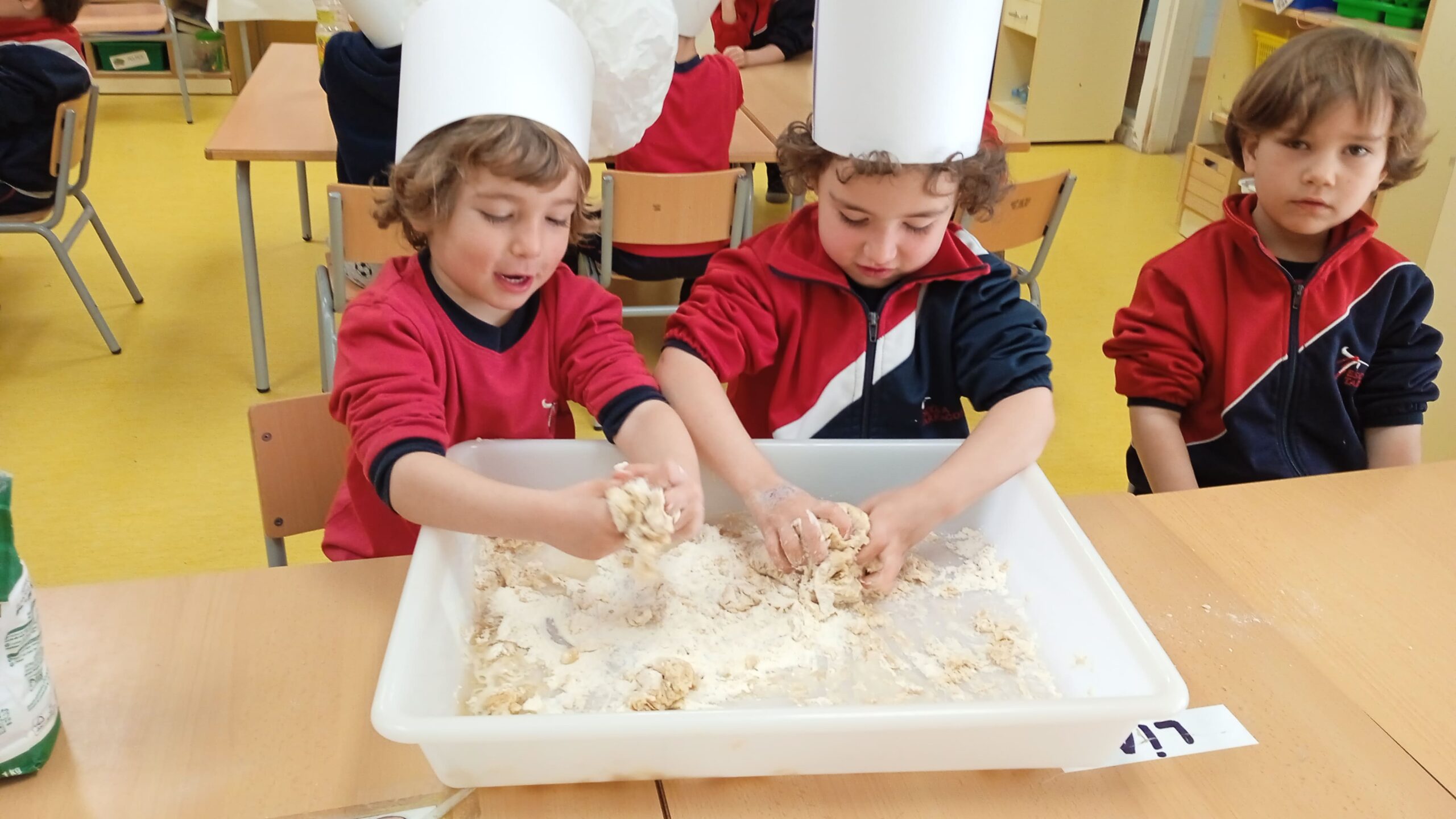 IMG_20230224_094459_1