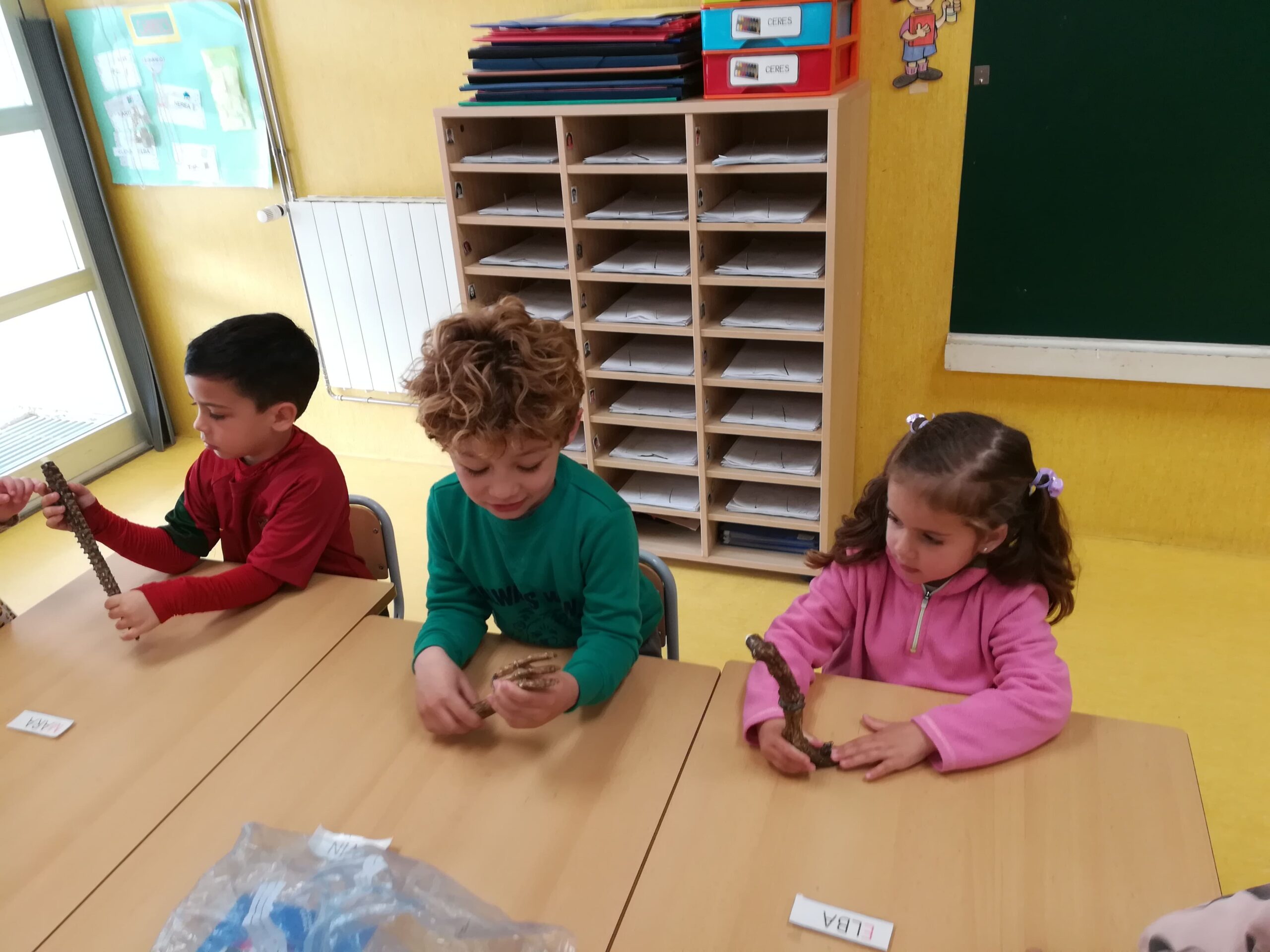 IMG_20230321_101627 (1)