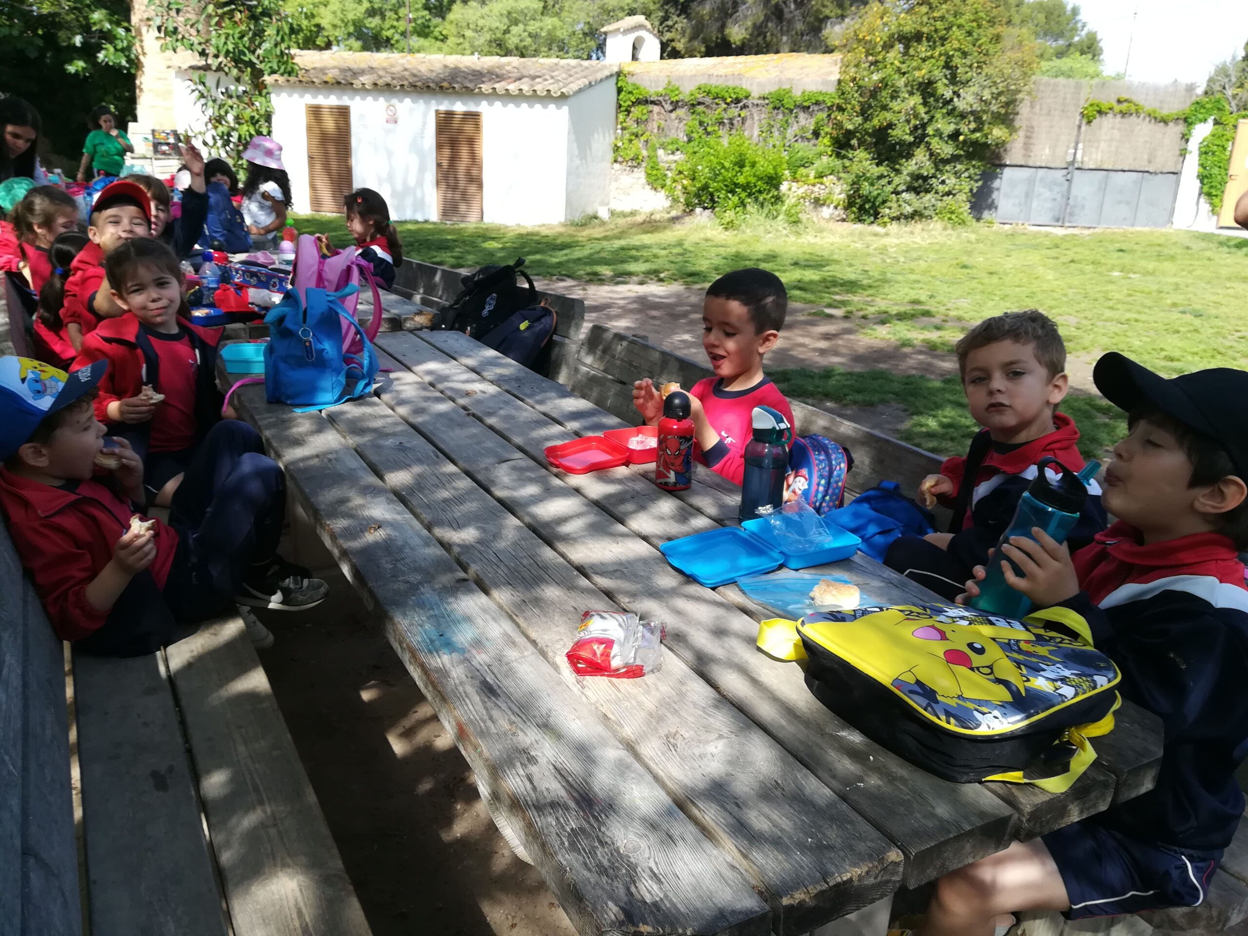 IMG_20230505_103443_1