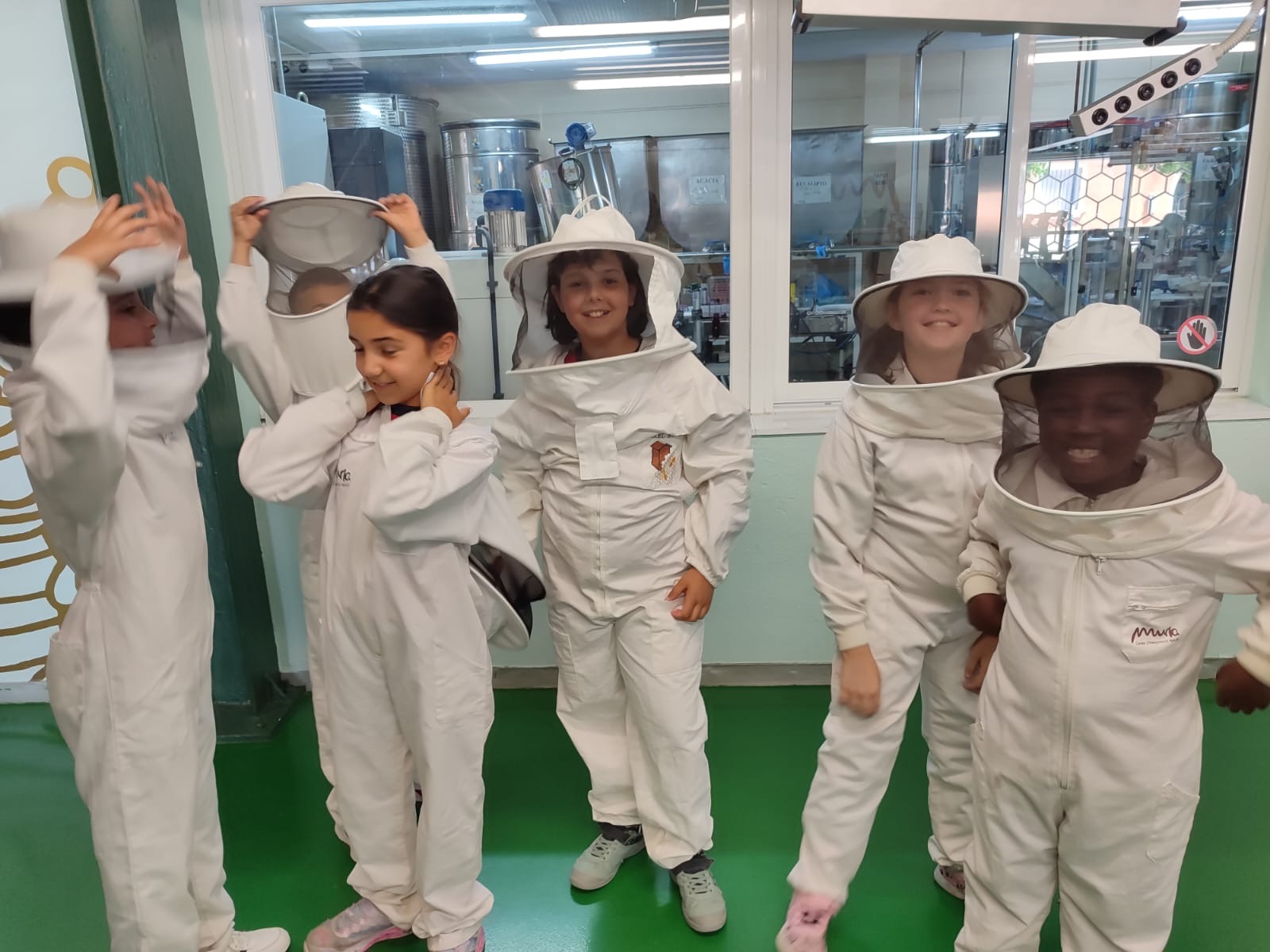 e13a490d-34fa-4704-aa64-41a81cb1e0e2