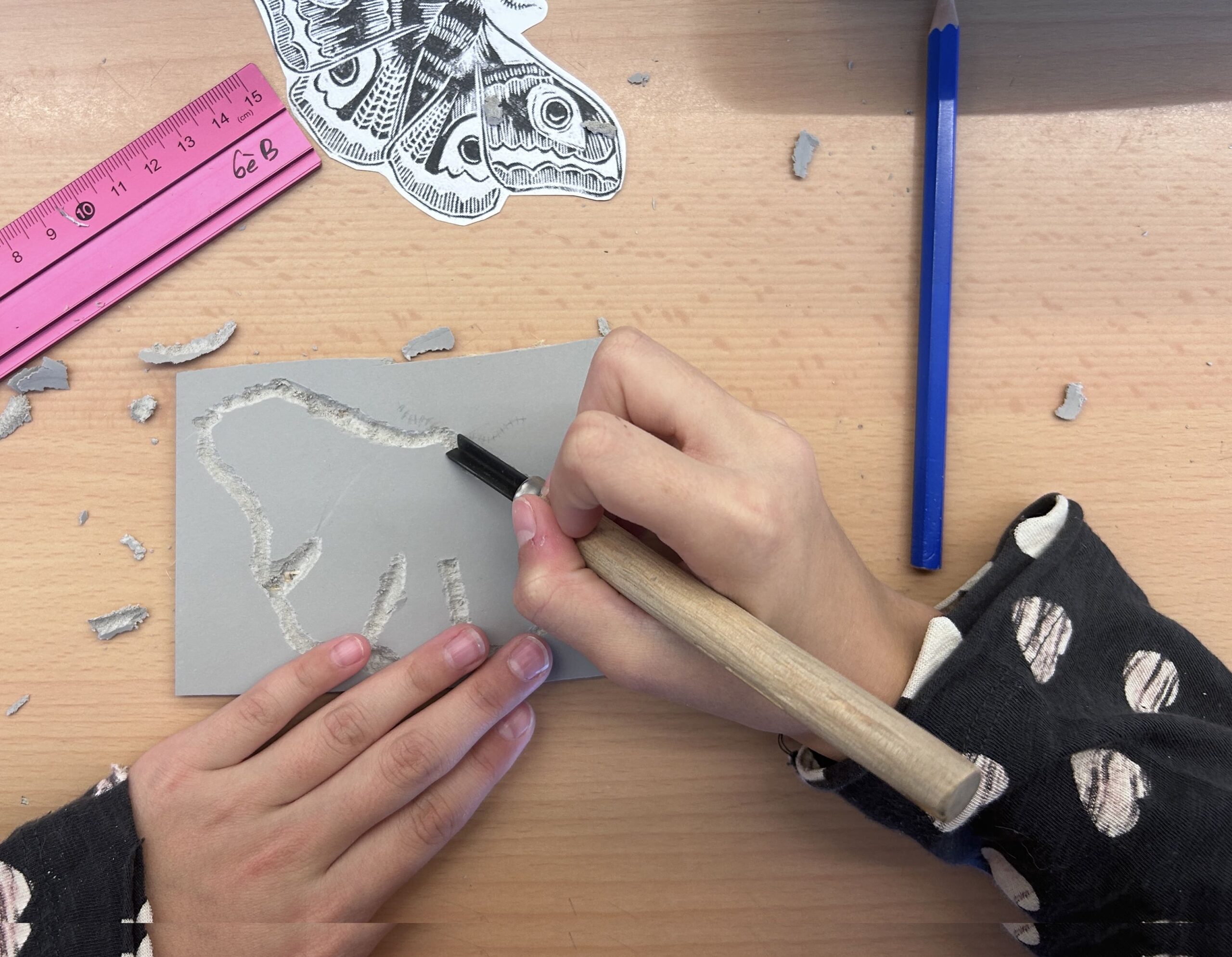 Alumnat CICLE SUPERIOR