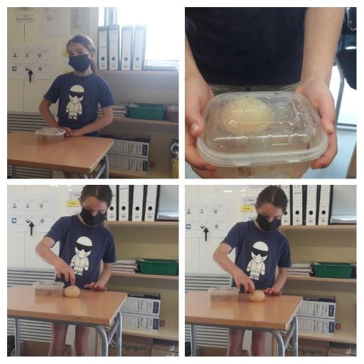 L_ou saltarí-Lídia