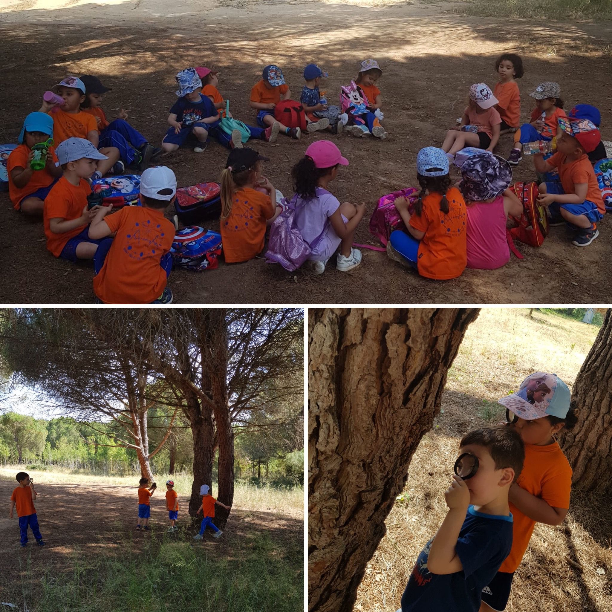 WhatsApp Image 2021-06-14 at 14.16.44 (1)