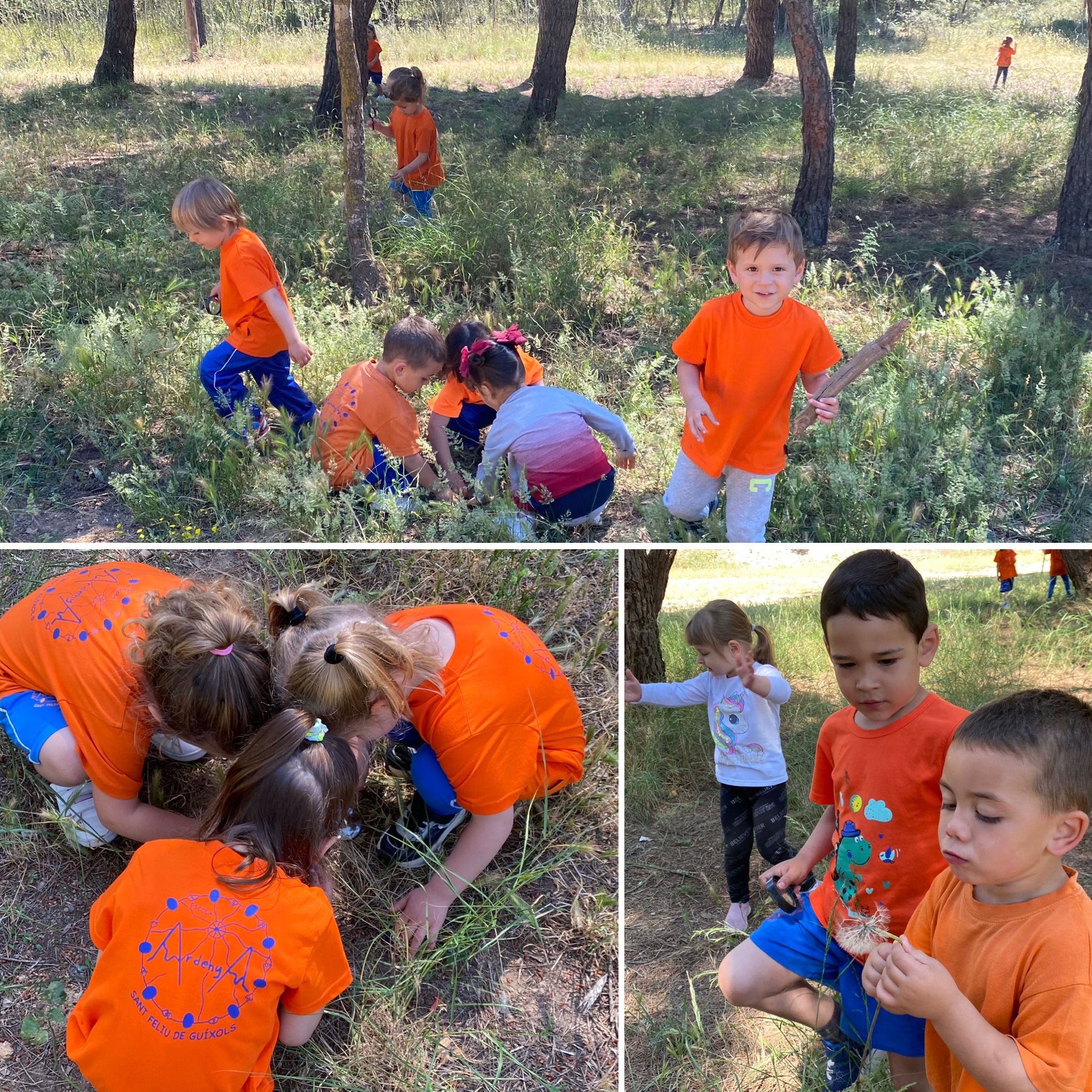 WhatsApp Image 2021-06-14 at 14.16.44