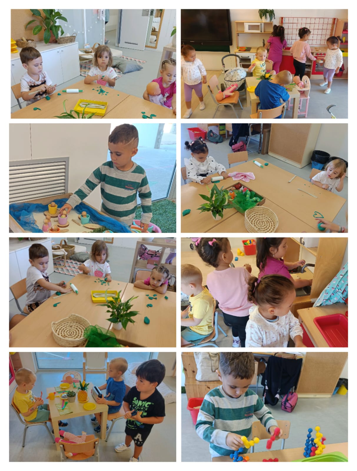 WhatsApp Image 2024-10-08 at 16.58.44