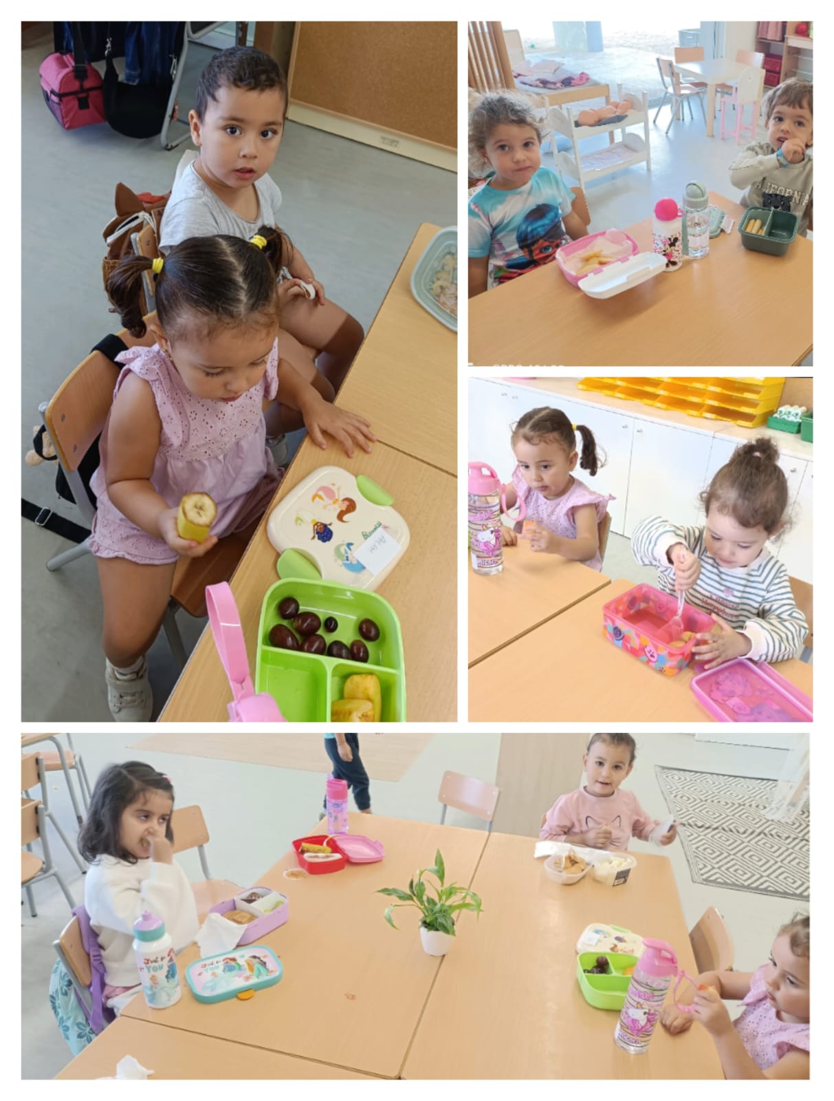 WhatsApp Image 2024-10-08 at 16.58.45