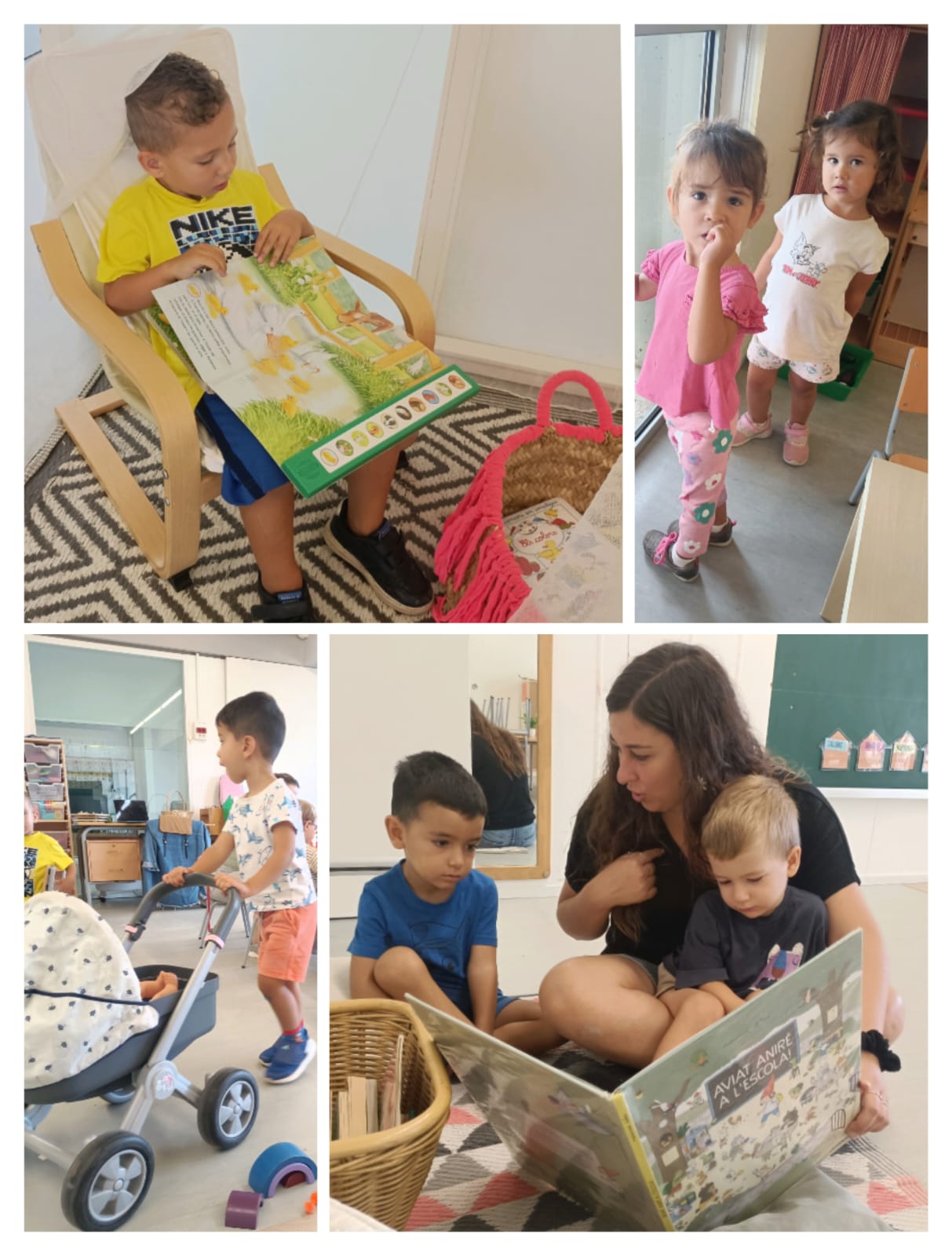 WhatsApp Image 2024-10-08 at 16.58.49